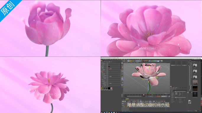 花朵盛开C4D模型含渲染成品