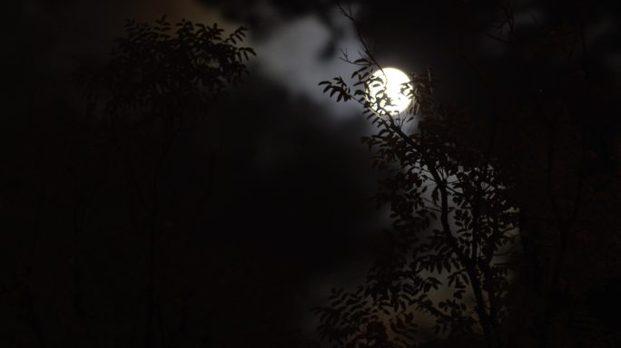 寂静伤感的昏暗城市夜晚，阴云密布月上树梢