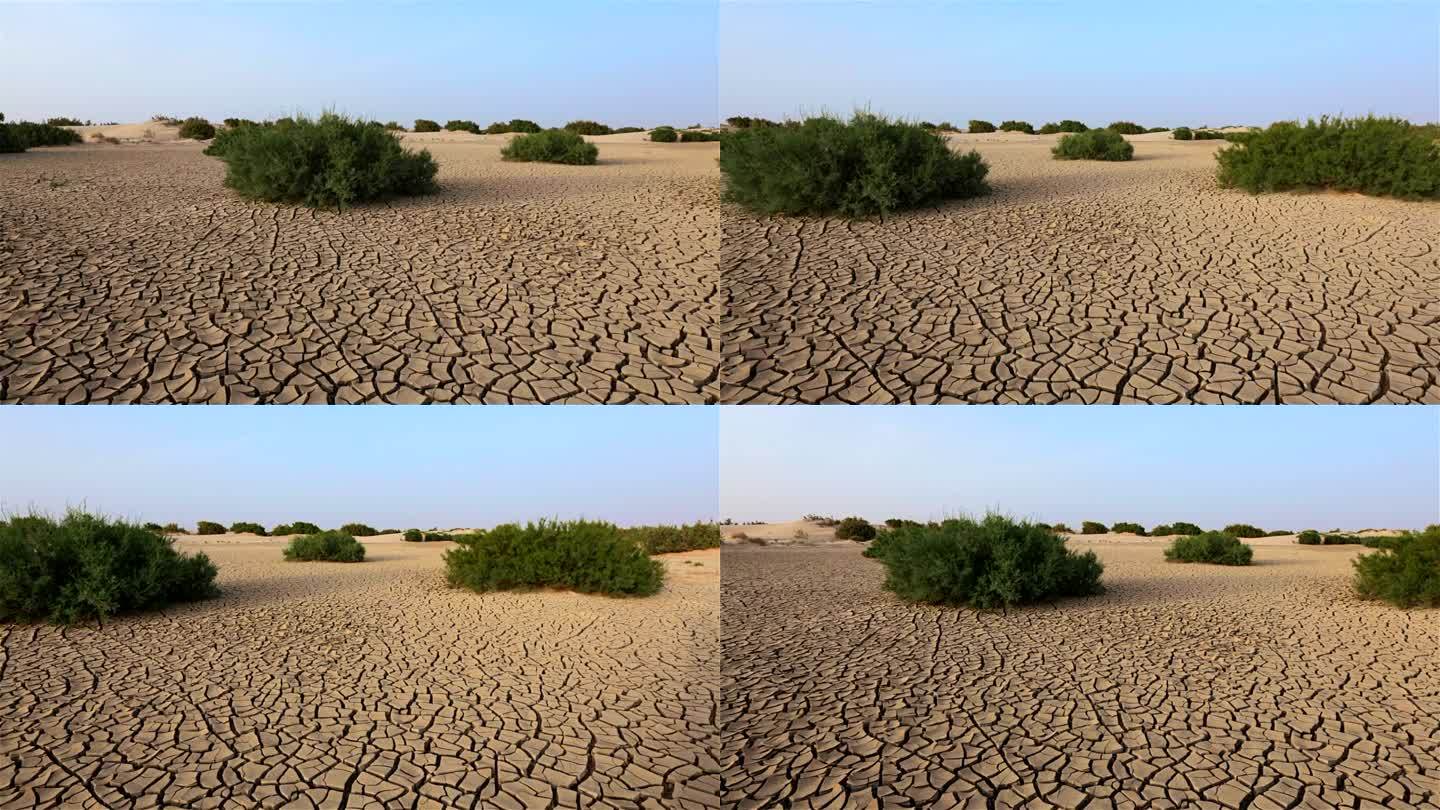 突尼斯/非洲沙漠中的干旱荒地
