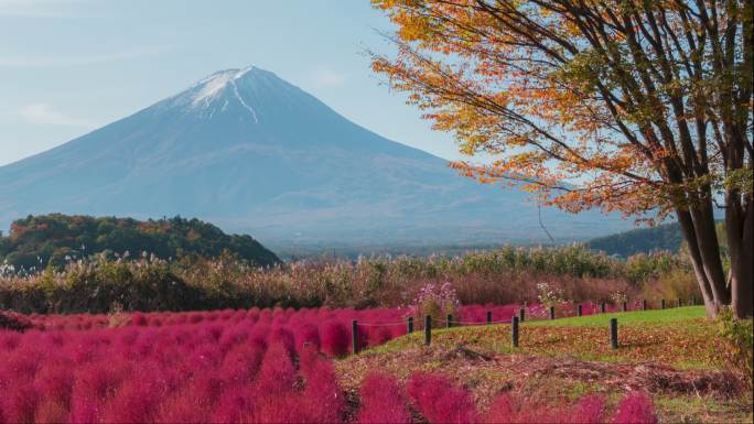 4K延时富士山昼夜秋季日本