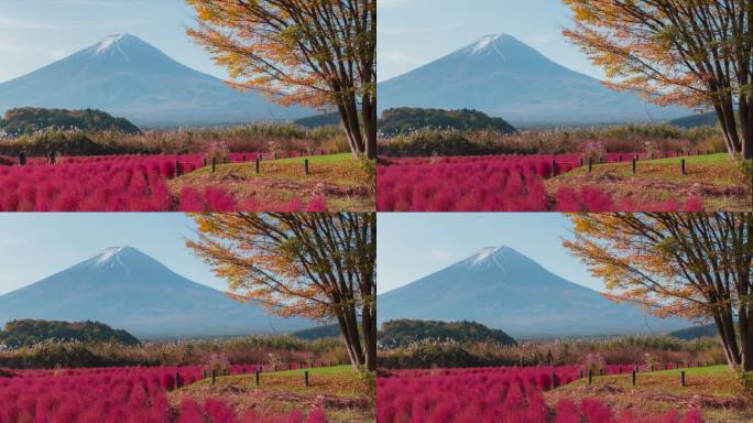 4K延时富士山昼夜秋季日本