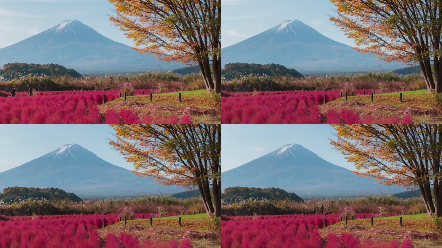 4K延时富士山昼夜秋季日本