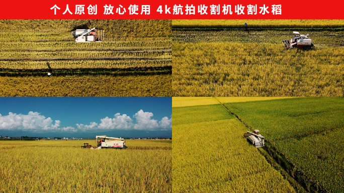 个人原创4K航拍收割机收割水稻