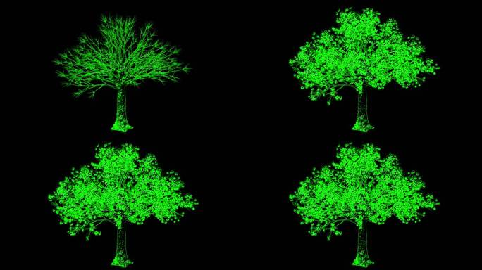 激光树生长-生长动画-全息激光投影生长