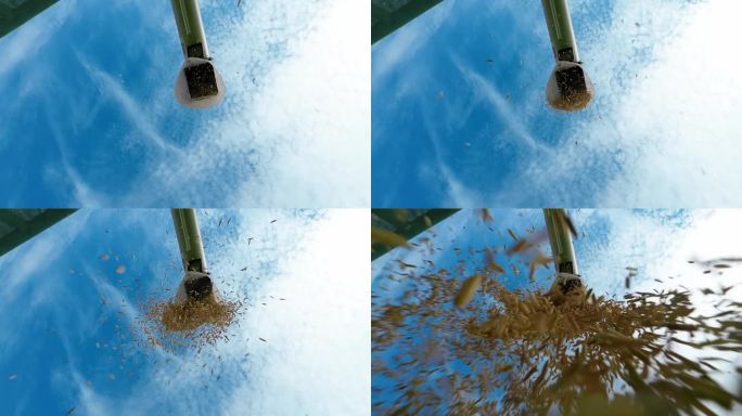 机械收割水稻素材仰视角度