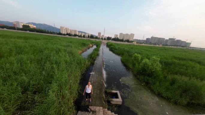 秋天，芦苇，夕阳，水库，震撼水面