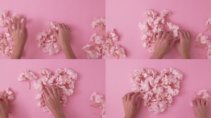 用绣球花瓣做粉色心形的女人。平躺着，粉红色的花瓣在粉红色的背景上跳动。情人节4k视频