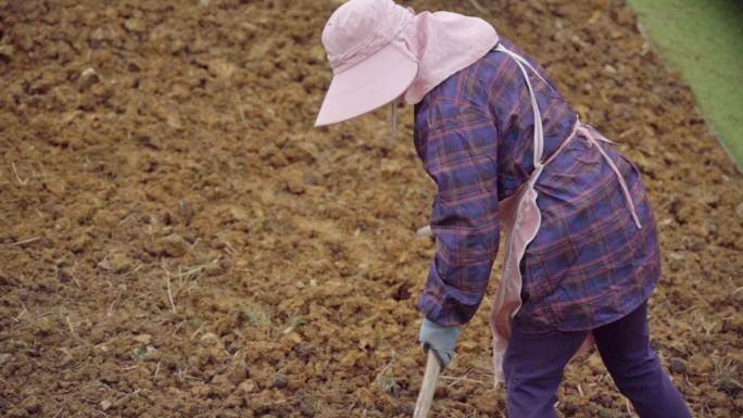 绿化养护挖地种草坪