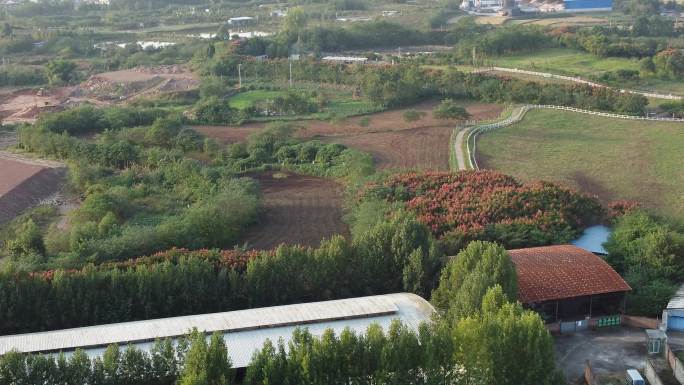 四川省德阳市旌阳区原野牧场航拍