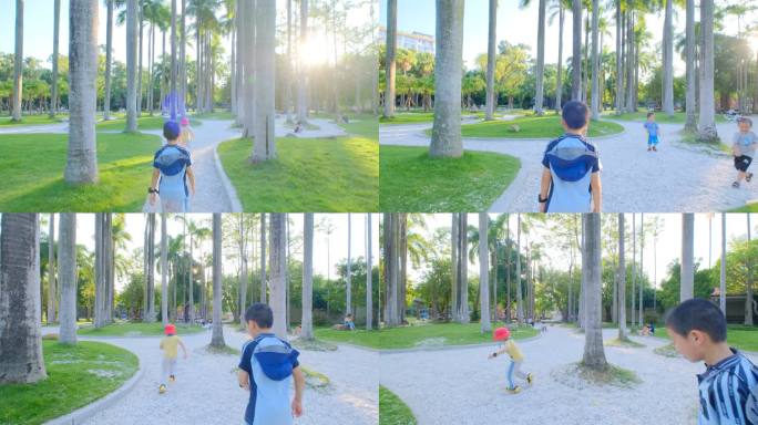阳光棕榈树林小朋友散步