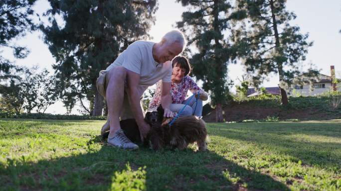 帕尔吉公园的老年已婚退休夫妇遛狗