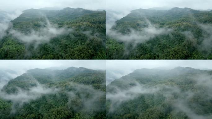 云雾飘渺的山顶周围