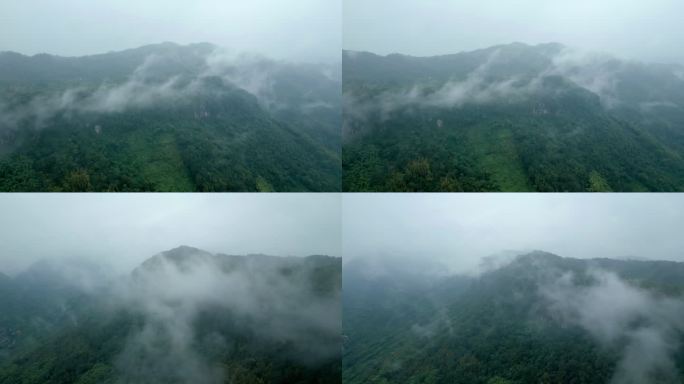 阴雨天起雾的山顶