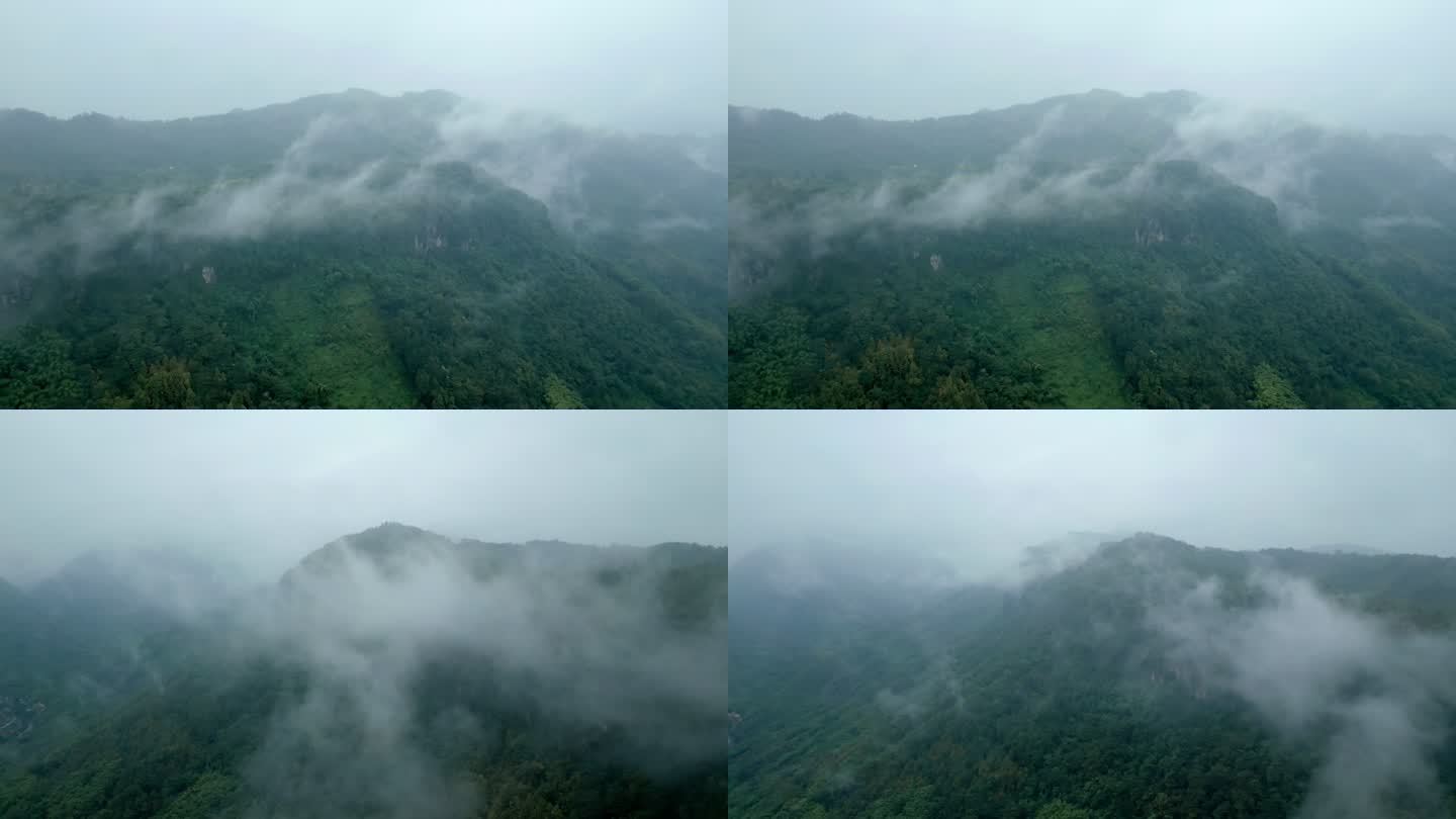 阴雨天起雾的山顶