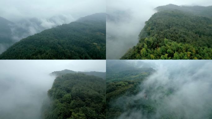 起雾的山崖 雾气在山崖边飘散