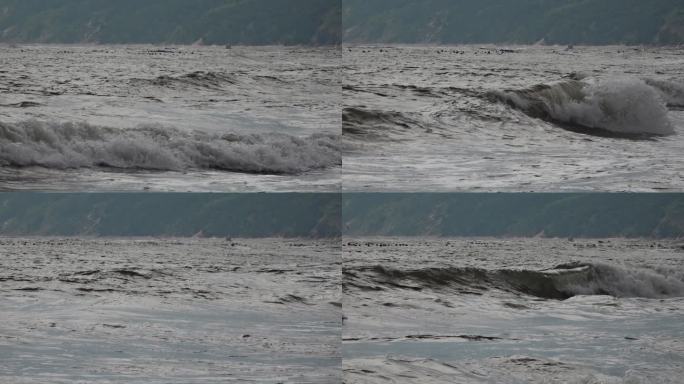 大海大浪海浪海鸥波浪浪涌海面浪花水波纹