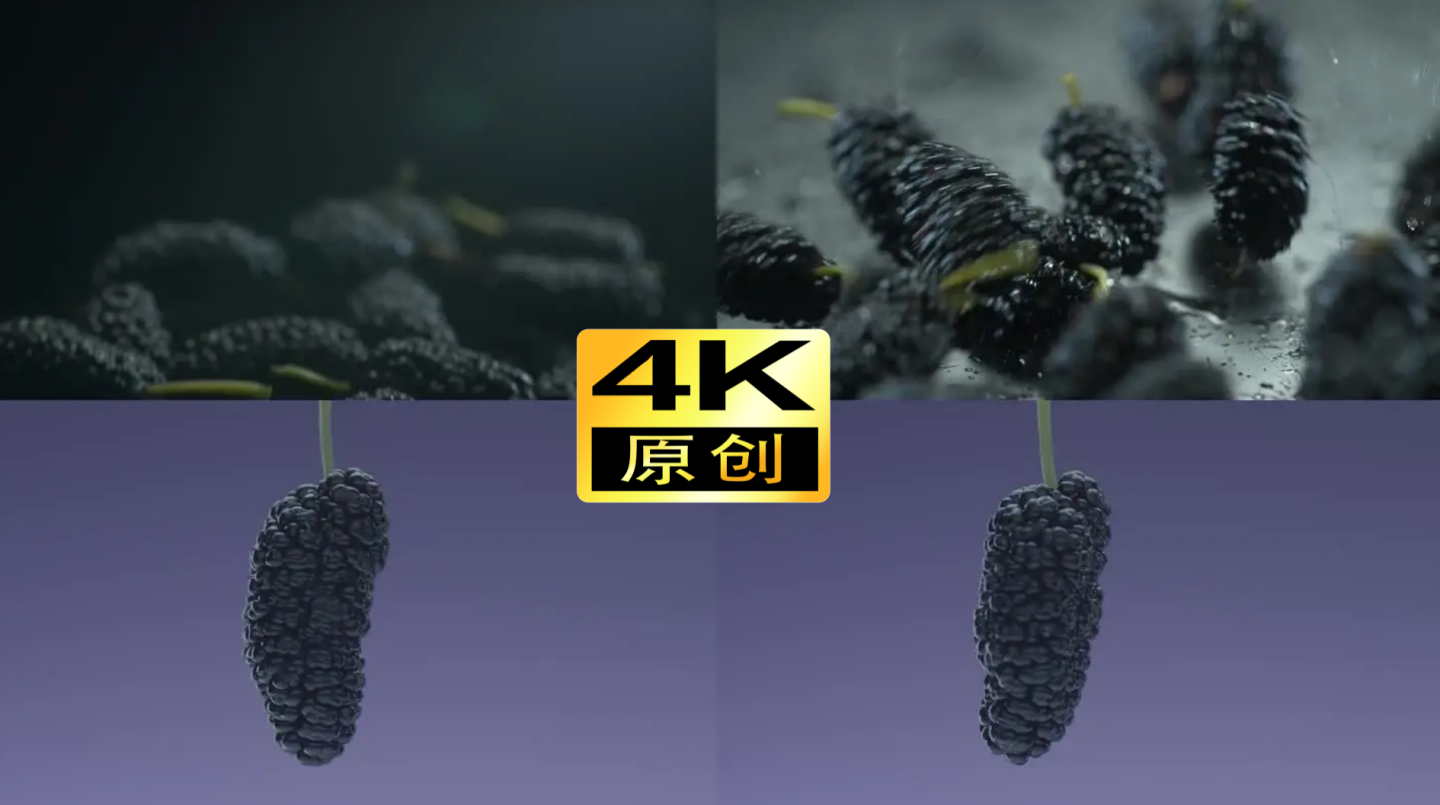 高速水果桑葚芬腾奶茶果茶果汁