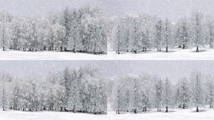 循环暴雪雪景下雪天