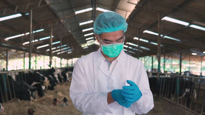 一名男性兽医在畜牧场与奶牛一起工作，看着镜头微笑-智能农业概念