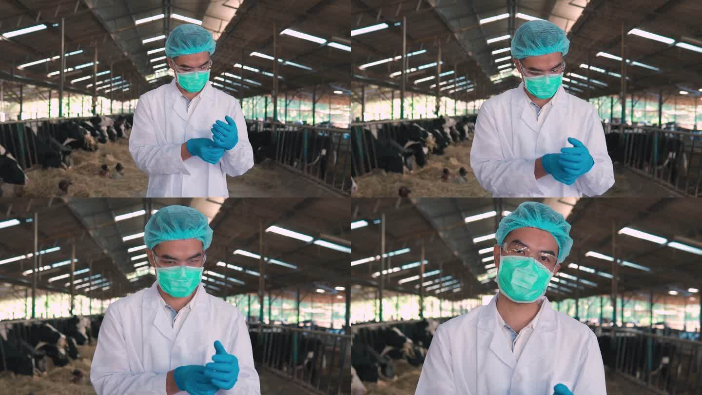 一名男性兽医在畜牧场与奶牛一起工作，看着镜头微笑-智能农业概念