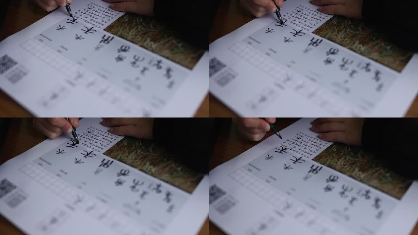 幼儿写汉字写汉字学习甲骨文篆书楷书素材