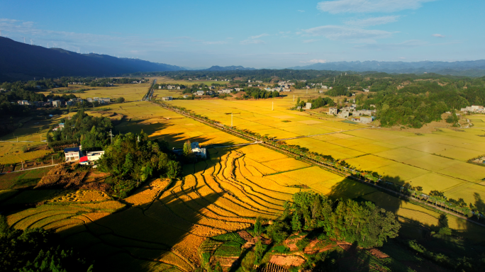 南坪秋景 稻田121