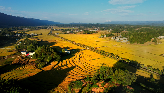 南坪秋景 稻田121