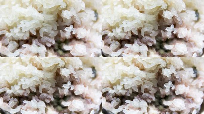 4K高清延时拍摄大米米饭发霉脱水过程