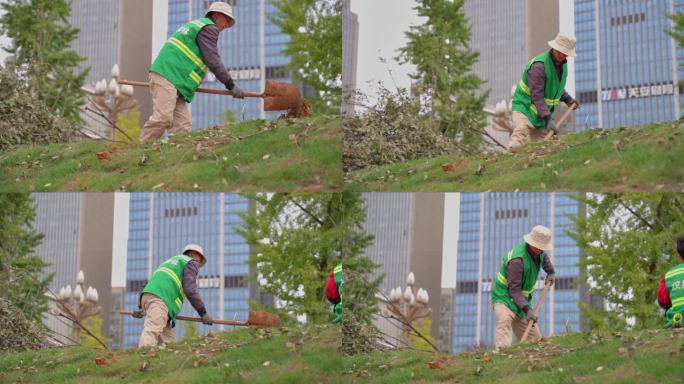 绿化养护植树之园林工人用铁锹铲土