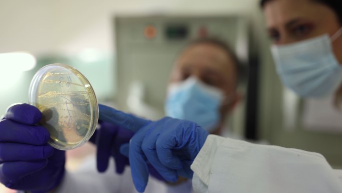 两位带着防护口罩的微生物学家在实验室里看着皮氏培养皿