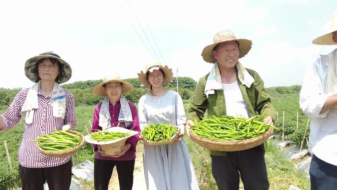 新鲜辣椒