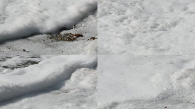 死海海岸矿物泡沫泡沫的浪