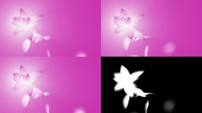 粉色莲花环侧视图无限花瓣花瓣凋零花瓣飘散