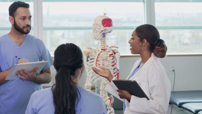 护理学校学生学习人体骨骼系统