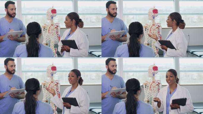 护理学校学生学习人体骨骼系统