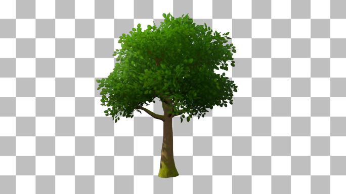 树木免抠动态素材