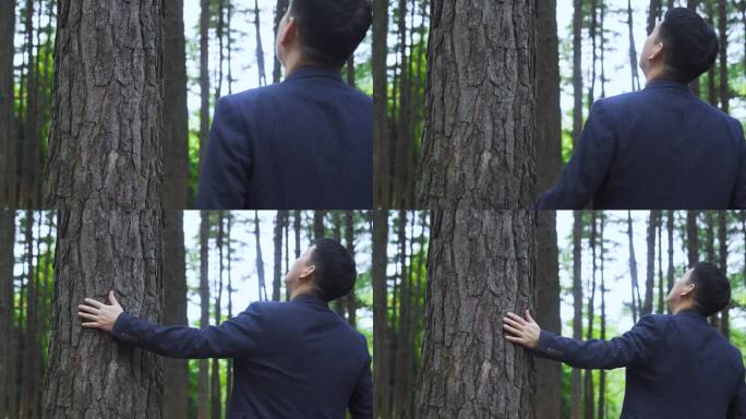 男人触摸大树仰望树梢思考人生保护森林广告