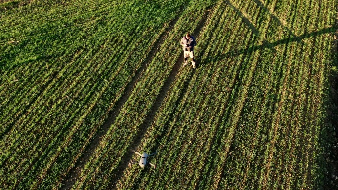 航空超级SLO MO农民使用无人机监测农田
