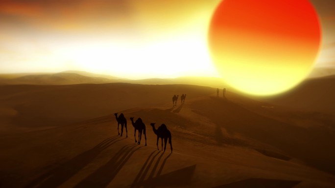 浪漫日出 沙漠骆驼