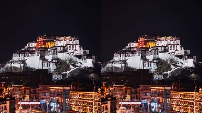 朝圣之地西藏布达拉宫夜景延时竖屏