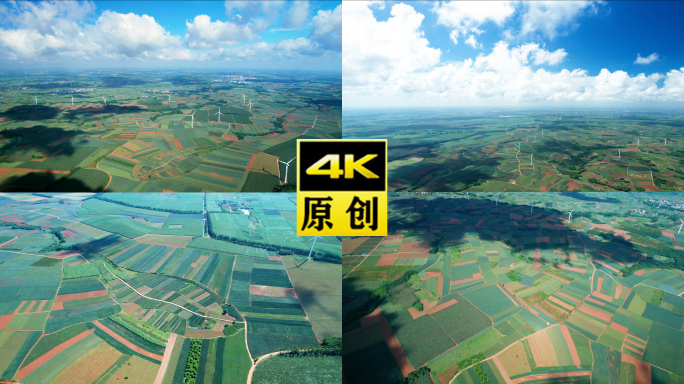 湛江徐闻菠萝的海菠萝田航拍
