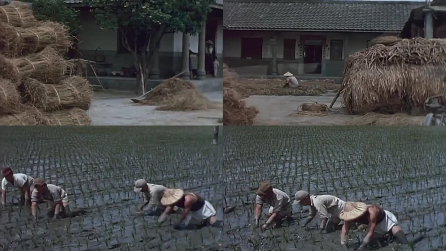 60年代的台湾农村社会生活影像