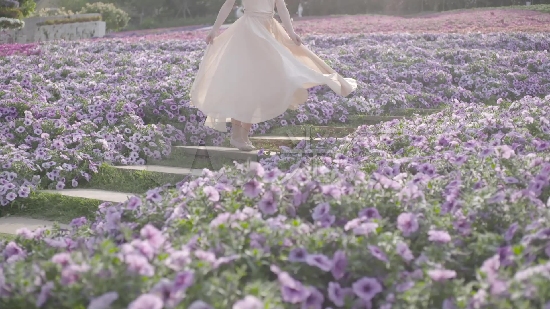 清新又性感的花海少女写真图片_好看的花海美女写真照_三千图片网