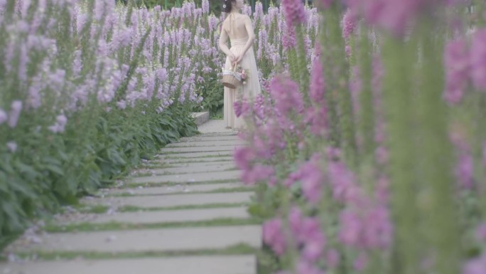 唯美美女花丛中回头看回眸一笑鲜花盛开花海