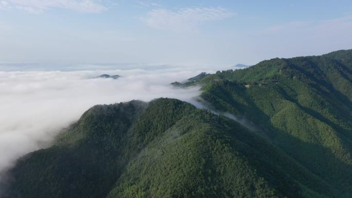 莫干山云海云瀑大全景长镜头4K 0971