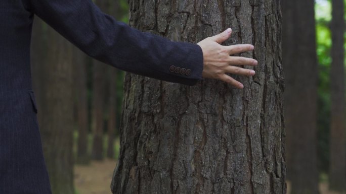 保护森林广告手触摸大树商务男士白领素材