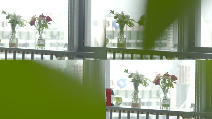 实拍办公楼休闲区窗外玻璃罐花瓶绿植玫瑰花