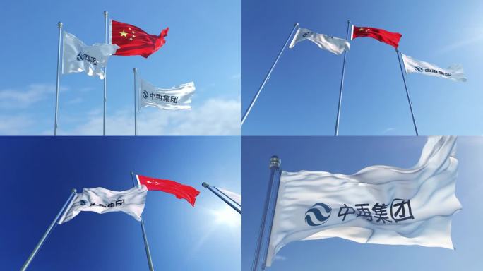 中国再保险（集团）股份有限公司旗帜