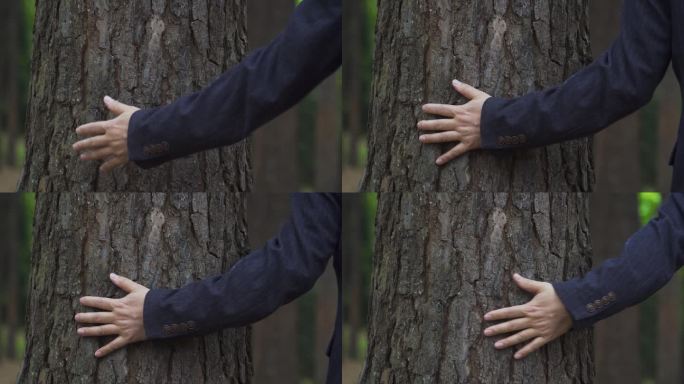 保护森林公益广告素材探寻自然之美触摸大树