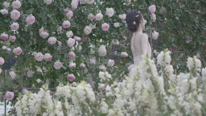 唯美美女在花海中行走触摸鲜花盛开闻花香